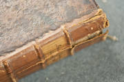 Bild 3 zum Titel Die erste Bibel der Neuen Welt